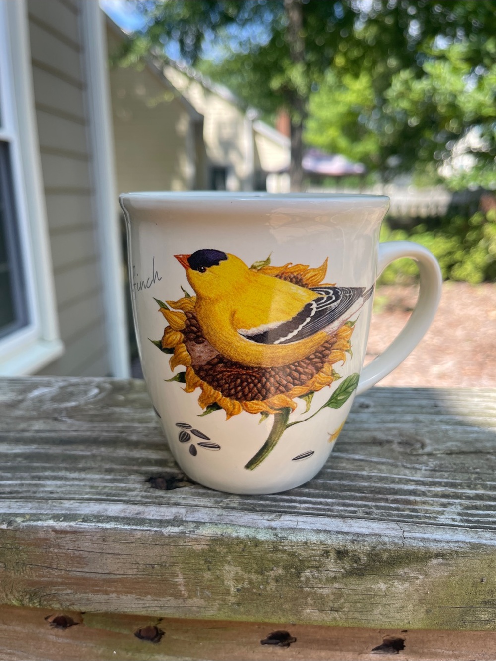 American Goldfinch Mug, CJ Wildlife, Wild Bird Showcase-new